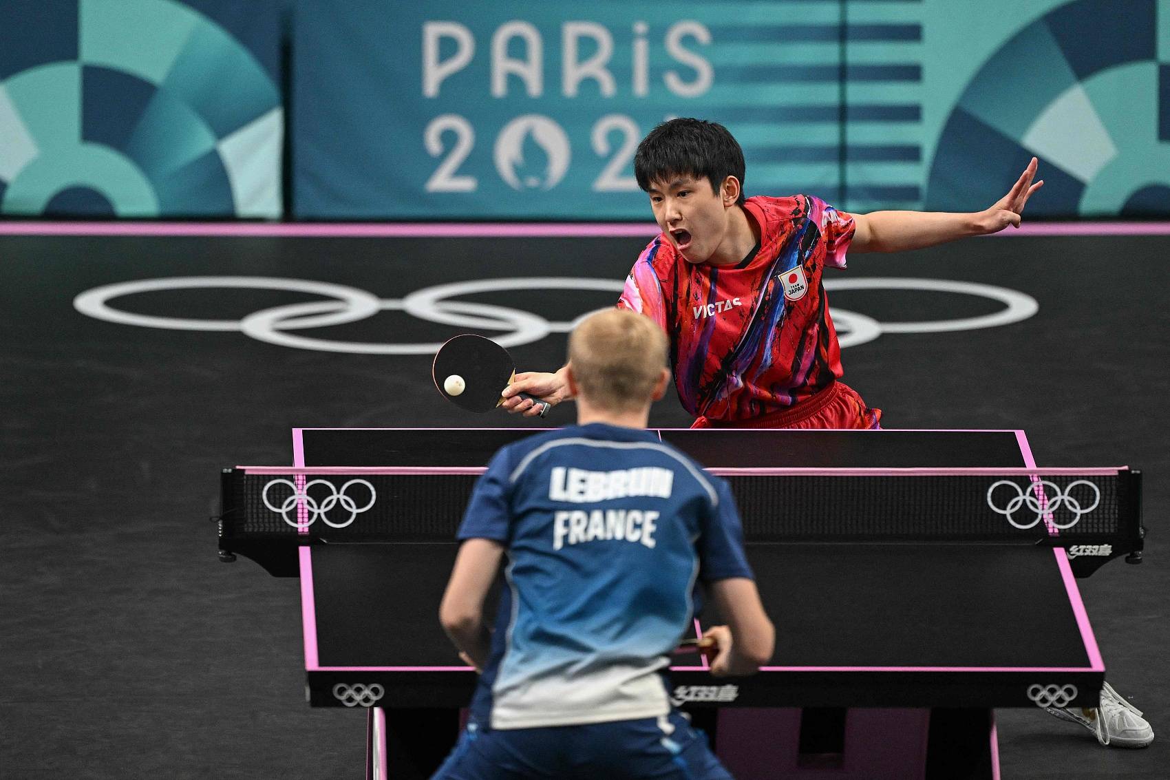 包含奥地利队逆转法国队，张本智和高光表现的词条